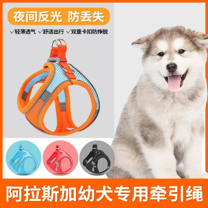 阿拉斯加幼犬专用牵引绳遛狗绳超小体犬小型犬小狗胸背狗绳狗狗