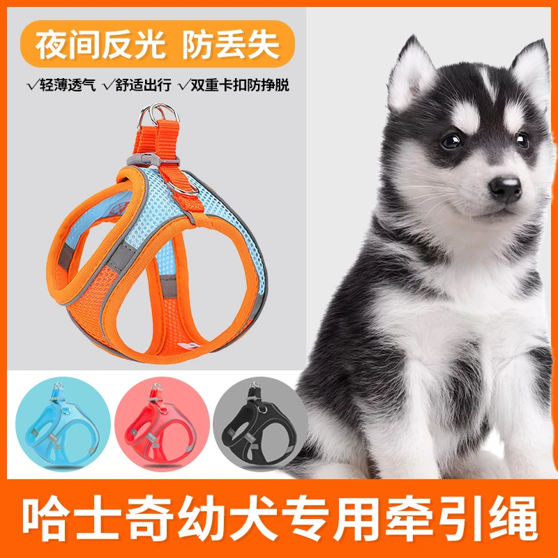 哈士奇幼犬专用牵引绳遛狗绳超小体犬小型犬小狗胸背狗绳狗狗用品