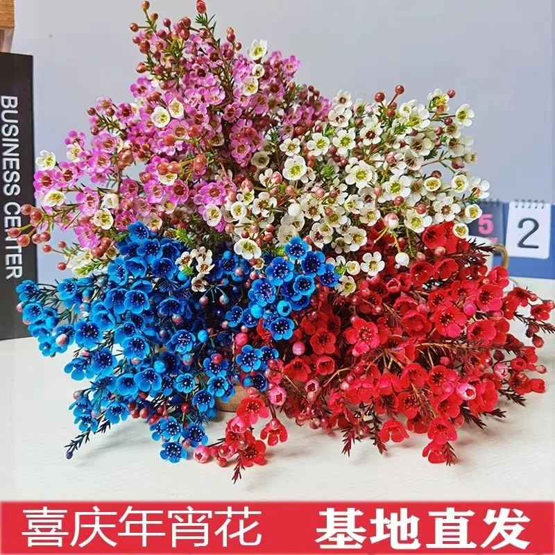 长花澳洲腊梅基地直发新鲜到家云南鲜切花基地直采长期不凋谢