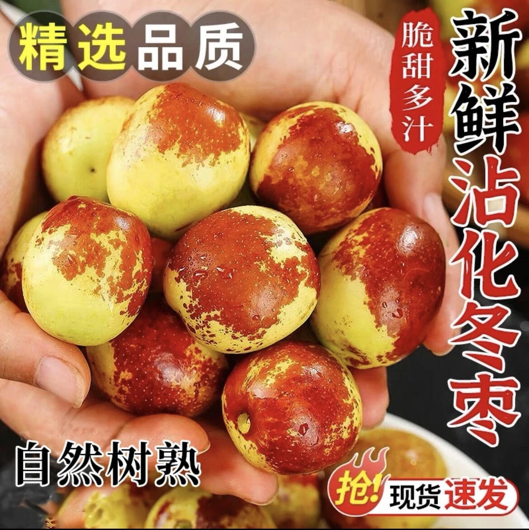 【双11福利100单 】沾化冬枣山东特产脆甜可口现货现发颗颗饱满
