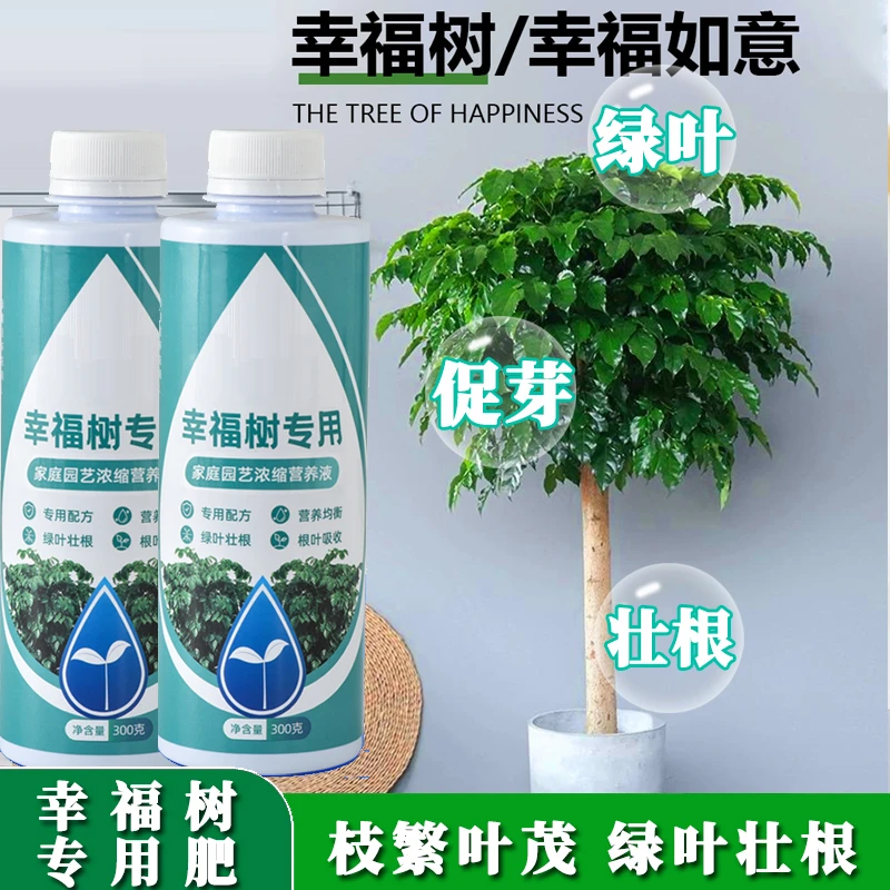 幸福树专用营养液防治黄叶掉叶黑斑植物盆栽室内植物营养液一喷绿