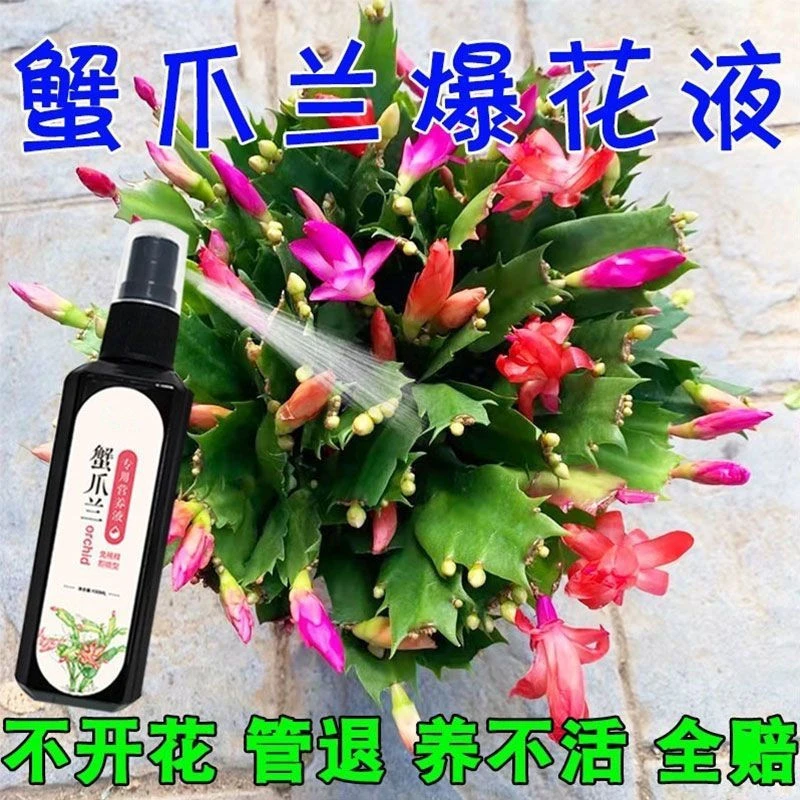 蟹爪兰专用肥促进开花缓释肥复合氮磷钾肥花肥磷酸二氢钾肥料花卉