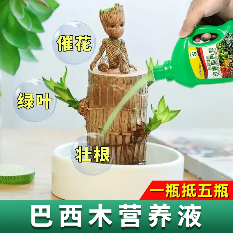 巴西木营养液植物营养液通用型花肥土壤绿萝水培盆栽家用生根液
