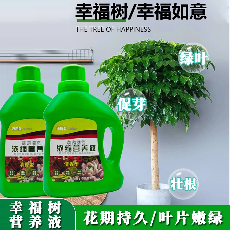 幸福树专用营养液肥料盆栽植物室内绿植养花花肥通用型氮磷钾生长