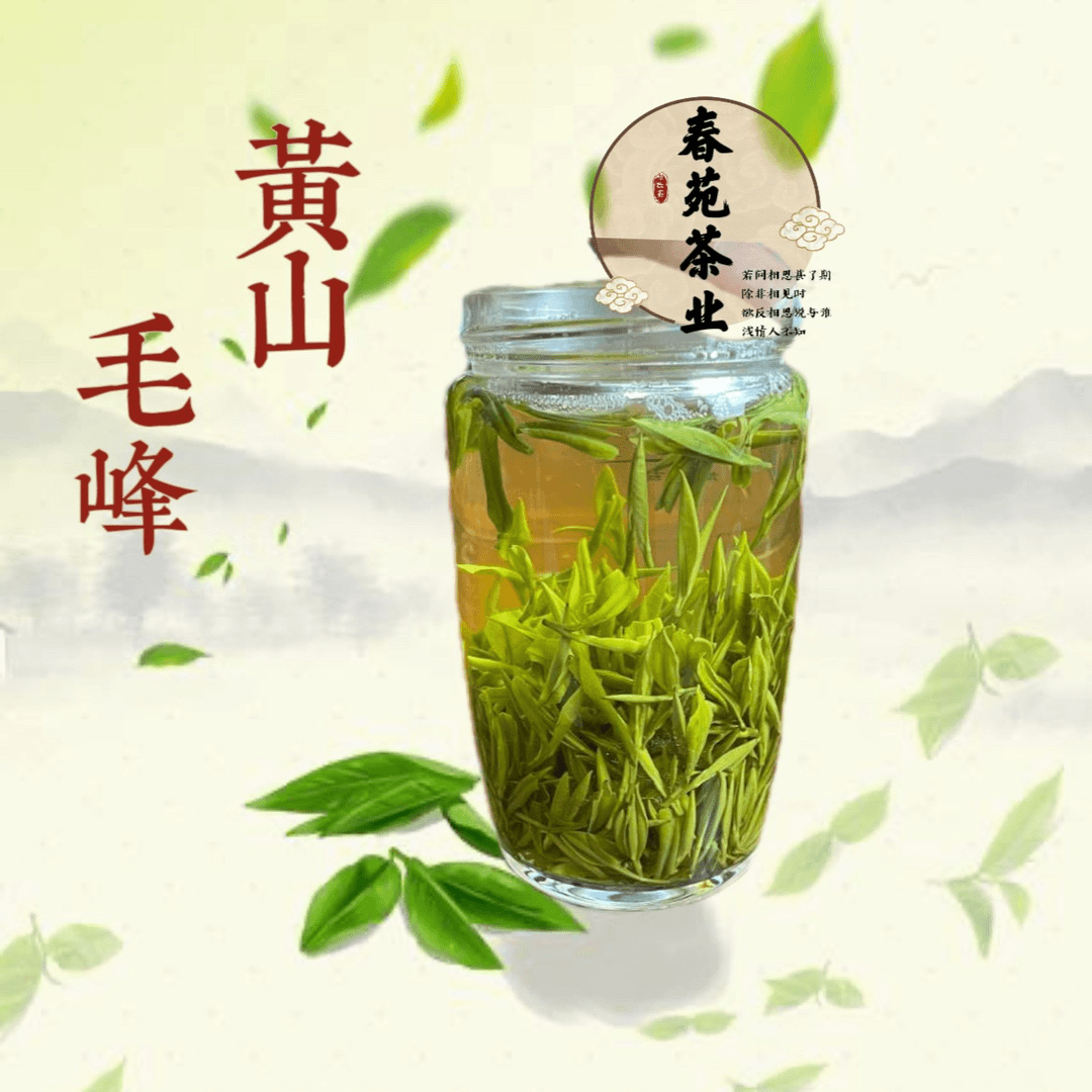 2023年新茶黄山毛峰手工揉捻（FX299土种茶树）绿茶250克-500克袋装