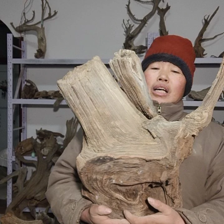 【闪购商品】木根雕木*