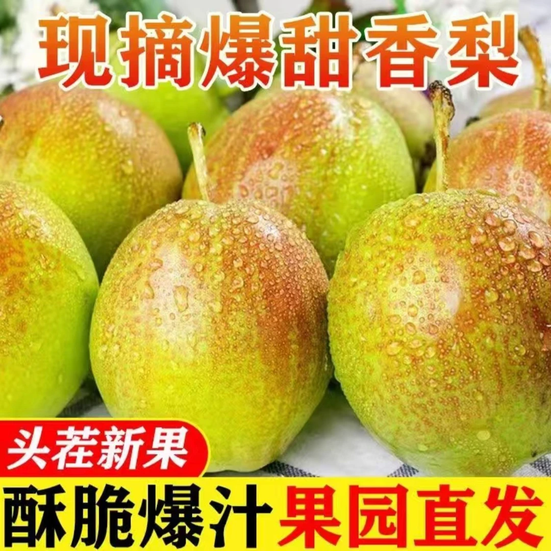 高品质】香甜红香酥梨新鲜水果香梨脆甜皮薄梨子酥脆果园食用好吃
