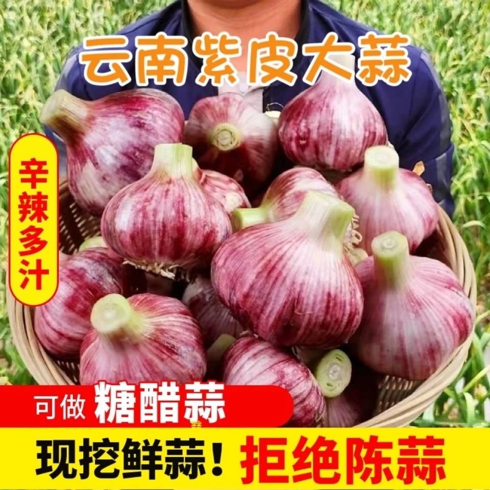 T【福利】云南新鲜紫皮自种头分瓣蒜自种湿蒜自种泡蒜糖醋蒜3斤5斤