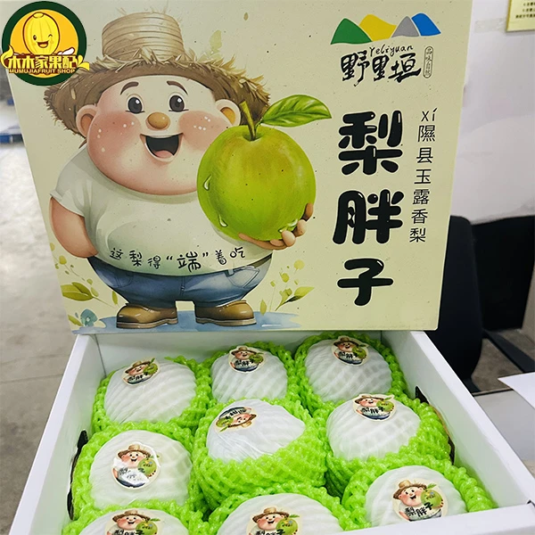 【次日达钊专属】梨胖子•隰县玉露香梨8-9只精美礼盒装 约5斤/箱