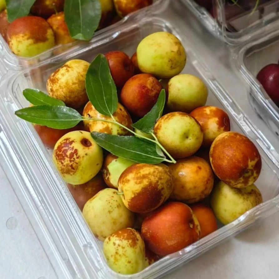 陕西大荔冬枣中果1斤/份—脆甜多汁