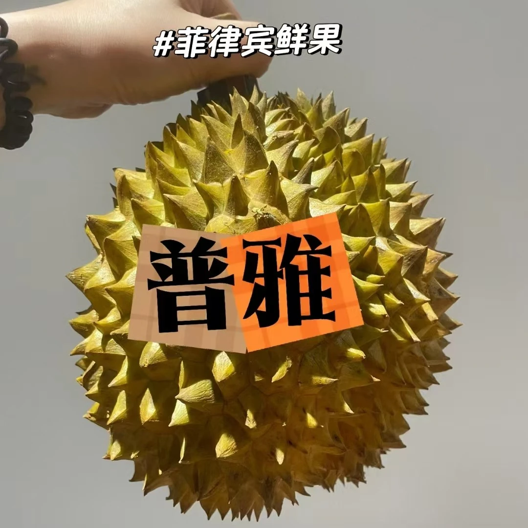 【鹤山专属】③号果菲律宾进口黄金普雅榴莲—整果售卖，默认开果，不开不售后