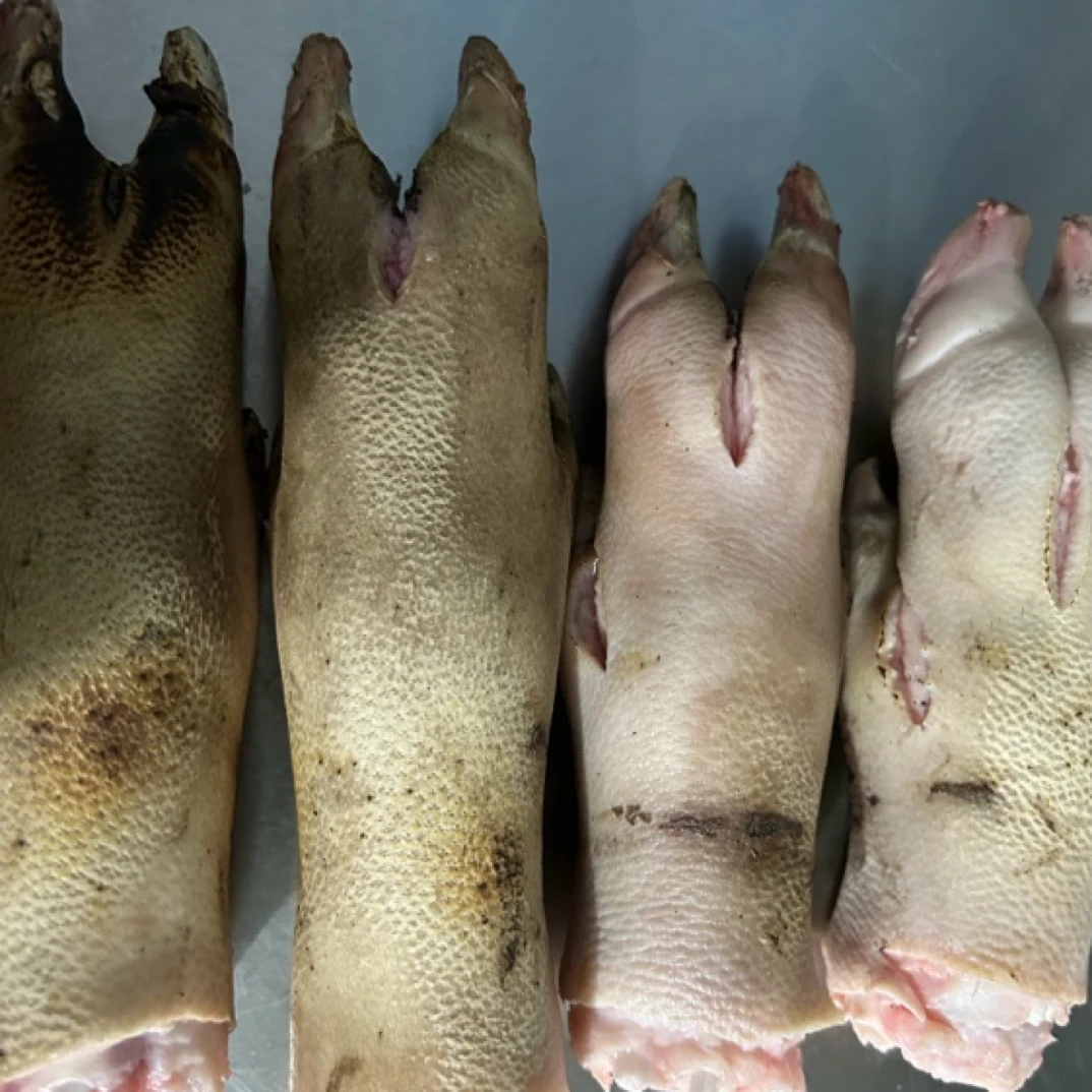 石班长生态散养两年藏香猪猪蹄四个两个前蹄两个后蹄