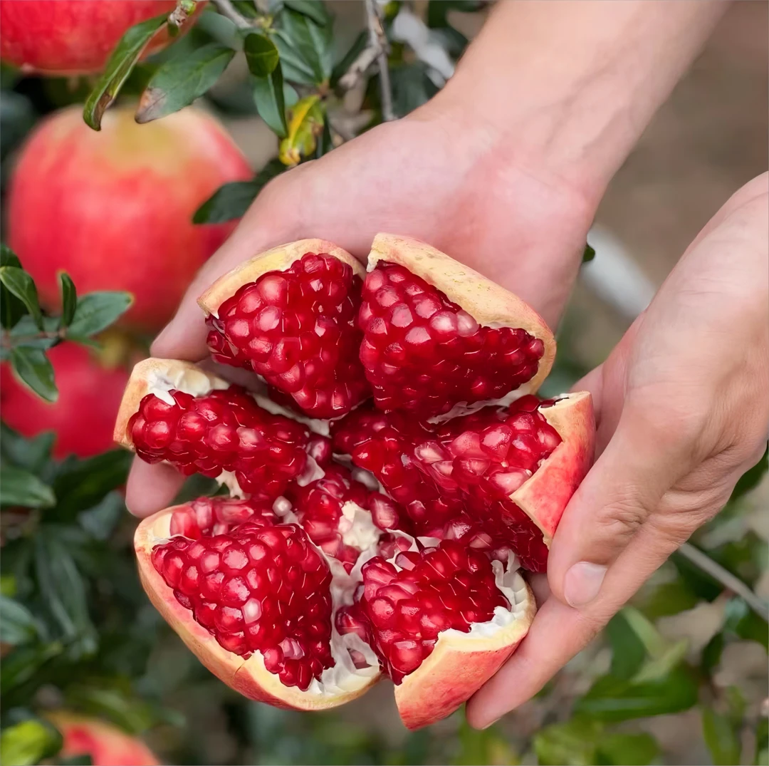 【纯甜爆汁】四川会理突尼斯软籽大石榴5斤新鲜采摘多汁孕妇大石榴