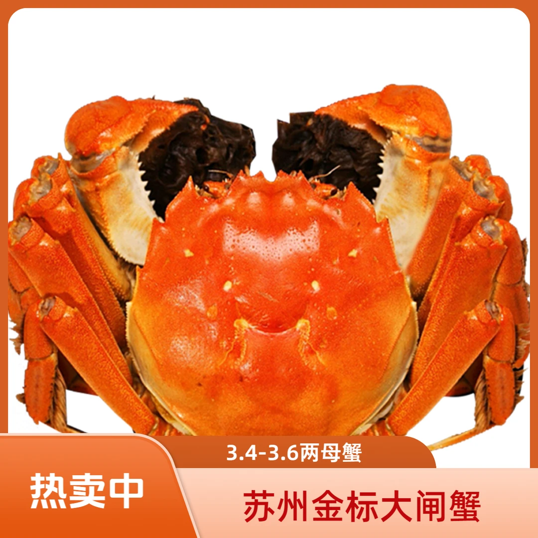 【活蟹】大闸蟹3.6-3.4两全母蟹8只苏州精品螃蟹现货礼盒装