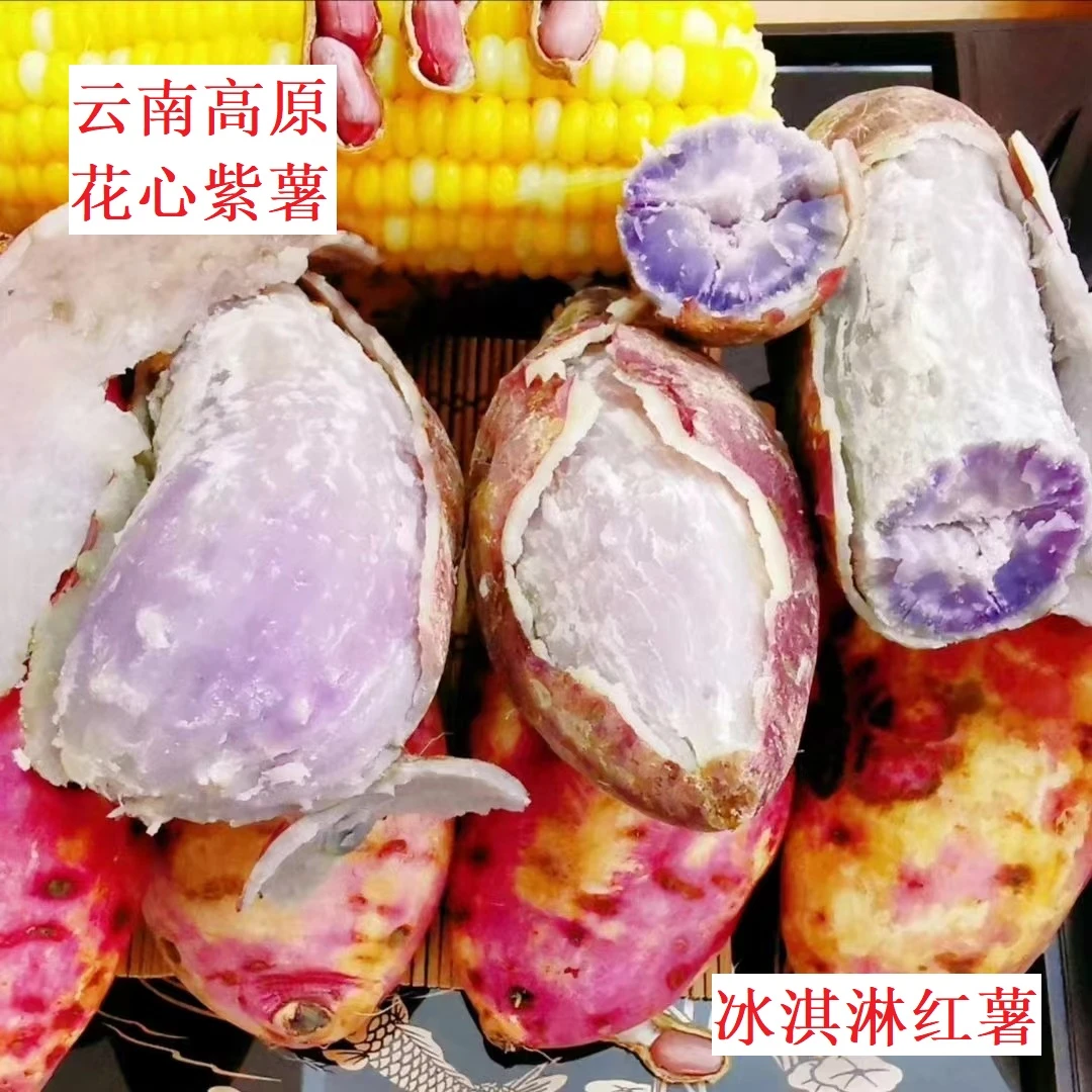 云南高原花心紫薯老品种地瓜番薯冰淇淋红薯槟榔薯粉糯香甜5斤