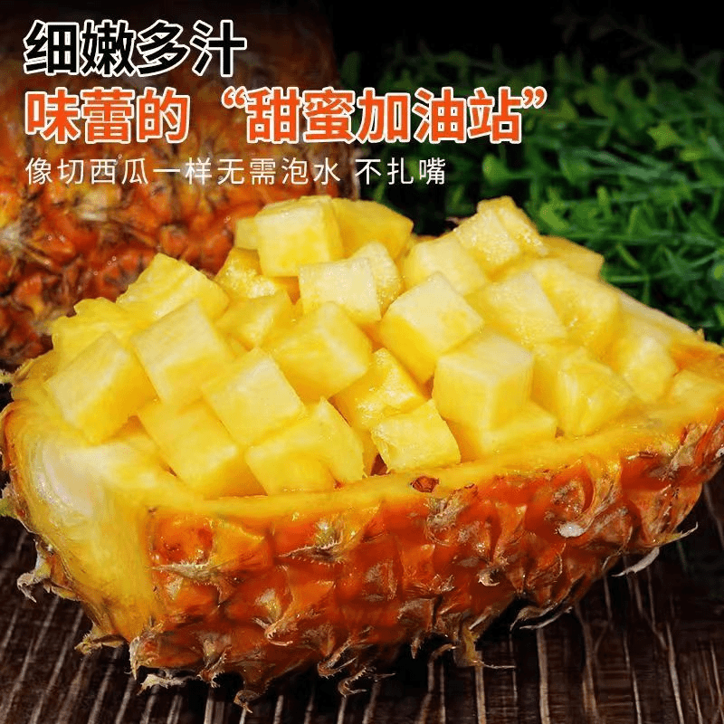 海南新品凤梨菠萝树上自然熟削皮直接吃清甜多汁现摘现发坏果包赔