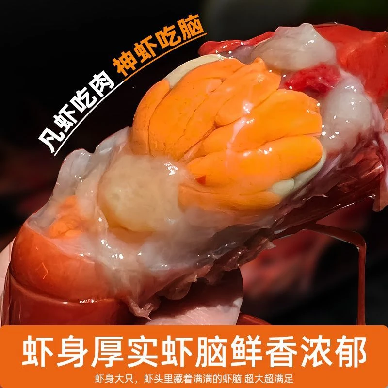 国产红魔虾，刺身大虾