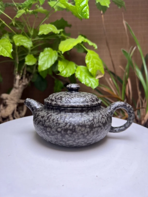 豫和堂石壶米粒石福利款扁仿古240cc发货随机