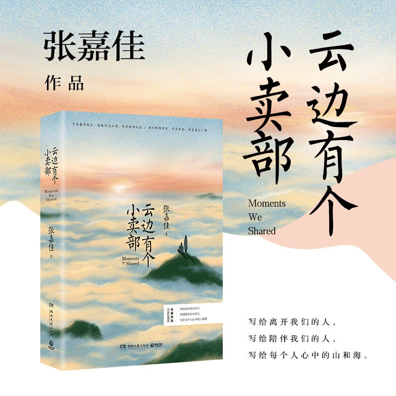 《众智》云边有个小卖部你的全世界路过青春文学励志成功情感小说