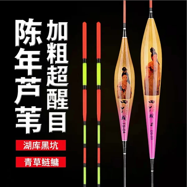 四丫头带壳老芦苇漂高灵敏湖库黑坑大物青草鲢鳙加粗醒目垂钓立式
