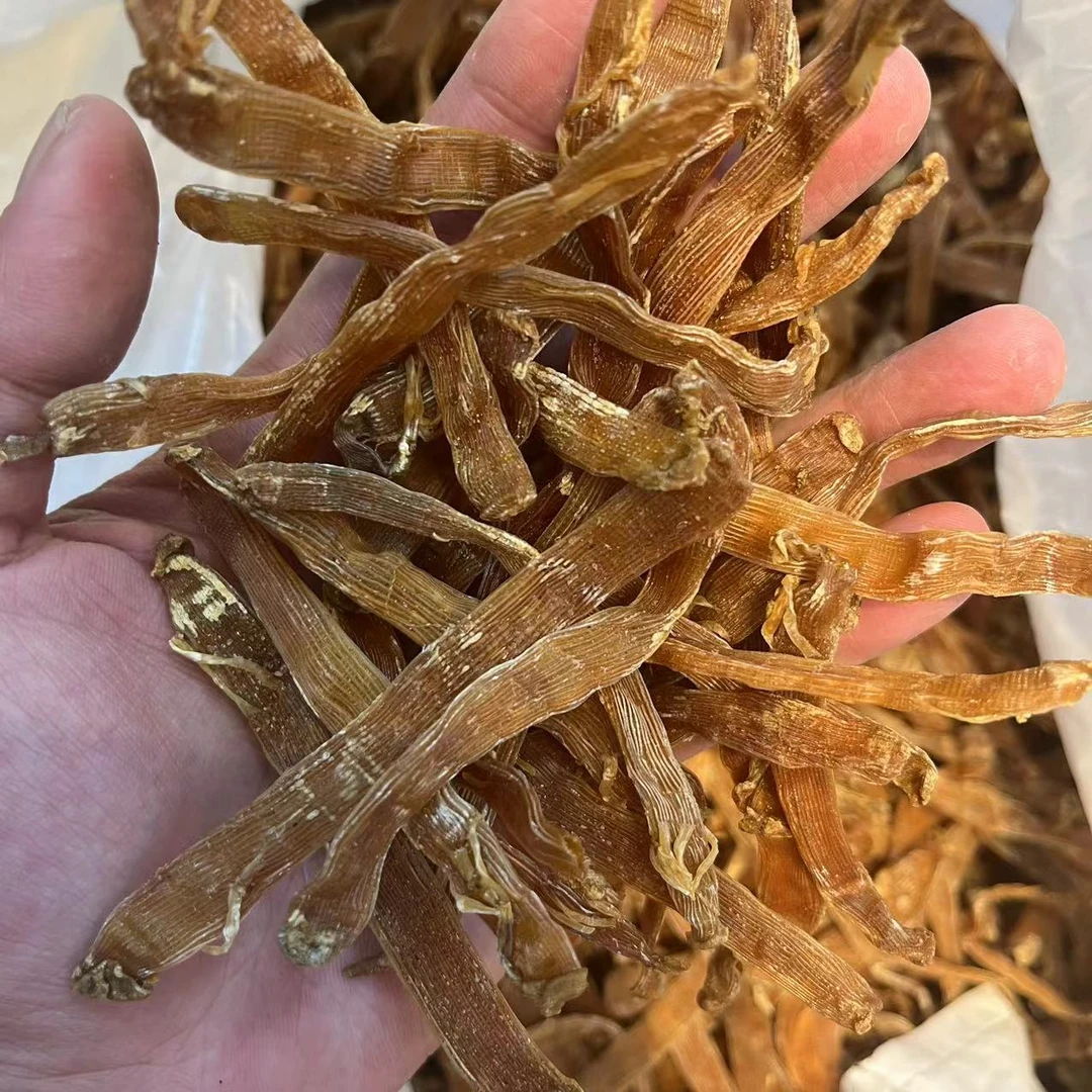 【海韵行】沙虫干-鱼胶伴侣1-500g