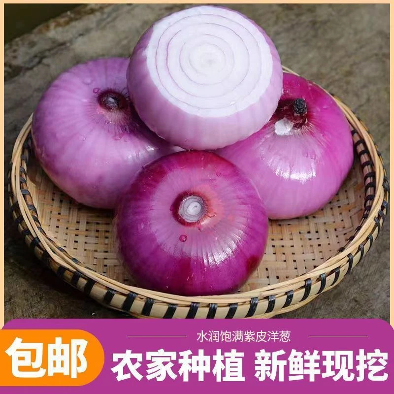 2024年河南新鲜紫皮洋葱圆葱葱头新鲜蔬菜5斤凉拌炒菜水果洋葱