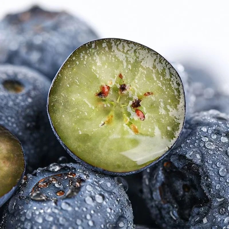 8盒 巨无霸20+新鲜蓝莓水果连云港发货100g盒