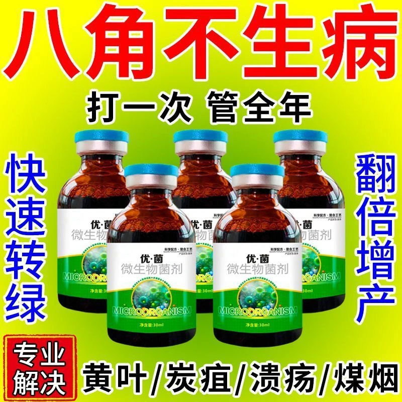 八角病全治炭疽病落叶病煤烟病褐斑病缩叶病八角剂保花保果肥