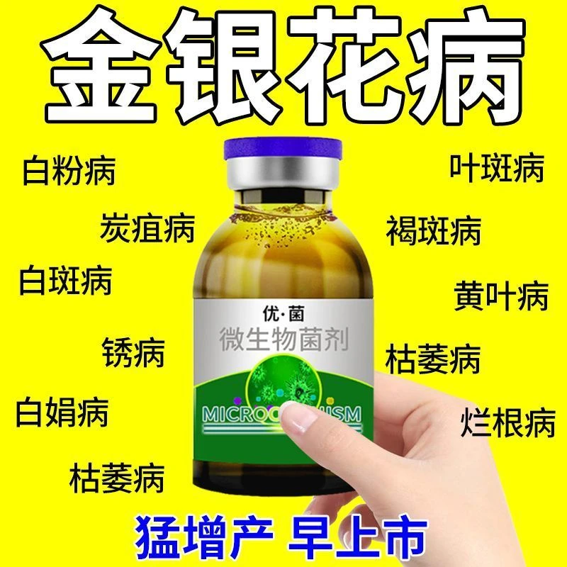 金银花病全治金银花病专用药白粉白斑病炭疽病根腐病枝枯病杀菌剂