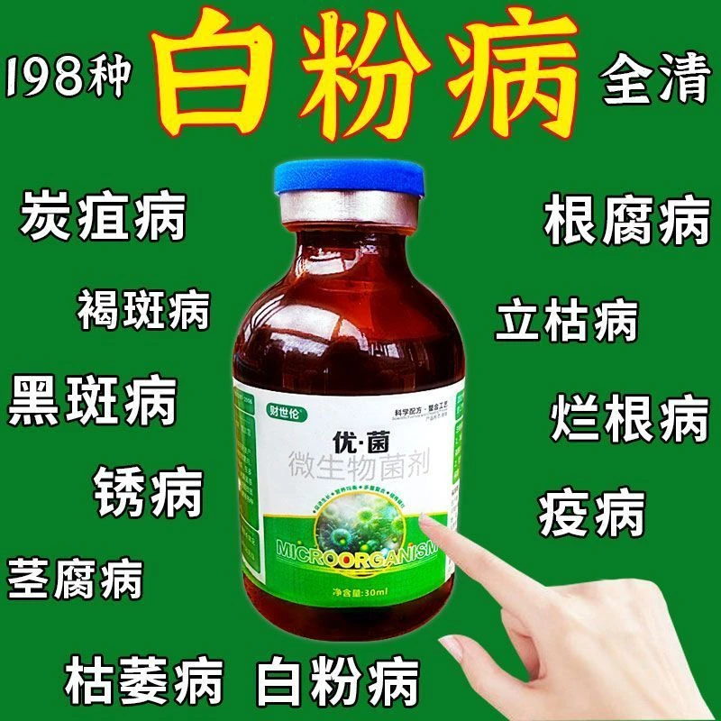 白粉病专用进口白粉净多菌灵白粉病霜霉病果树蔬菜花卉剂