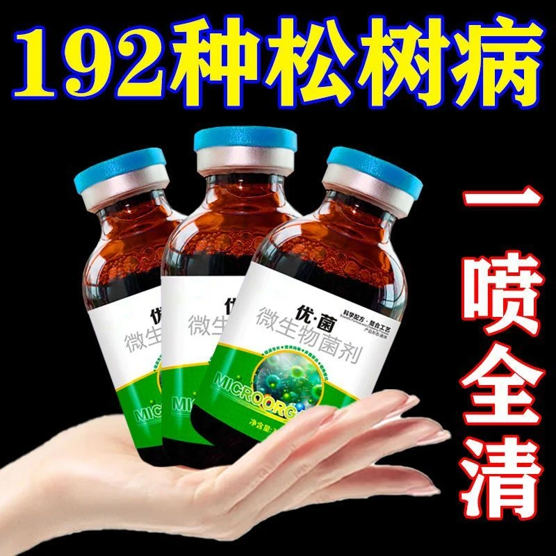松树赤枯病松树叶枯病专用肥松针发黄脱落叶斑病白粉大型盆栽植物