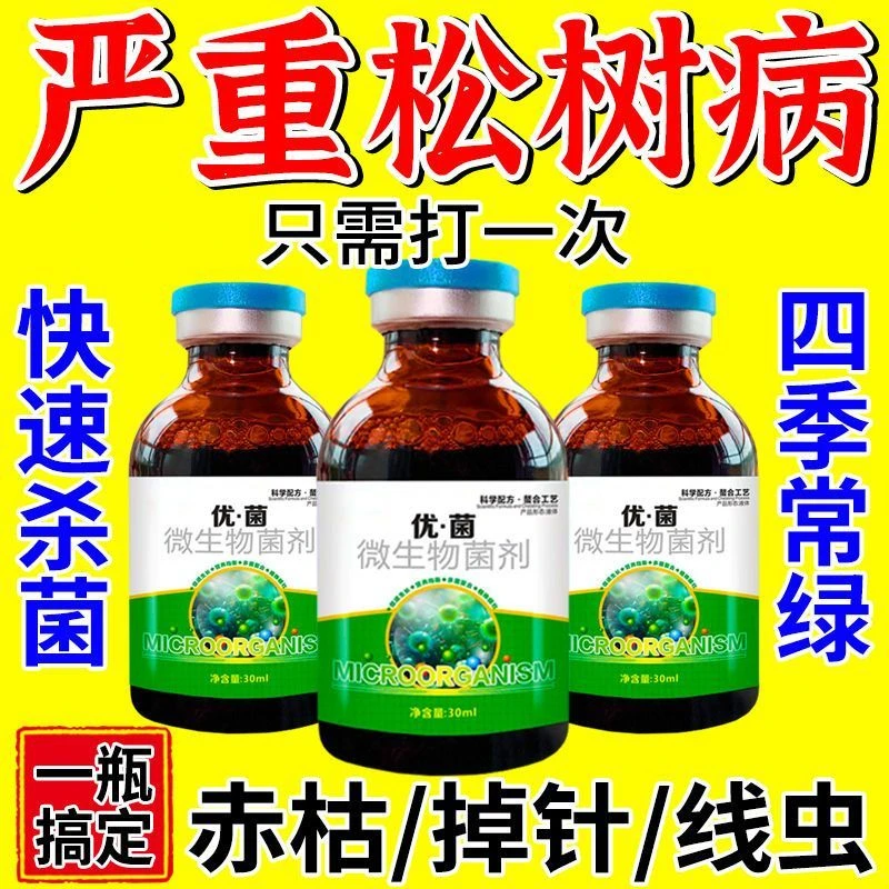 松树专用赤枯病松树叶枯病专用肥松针发黄脱落叶斑病梢枯病黄化病