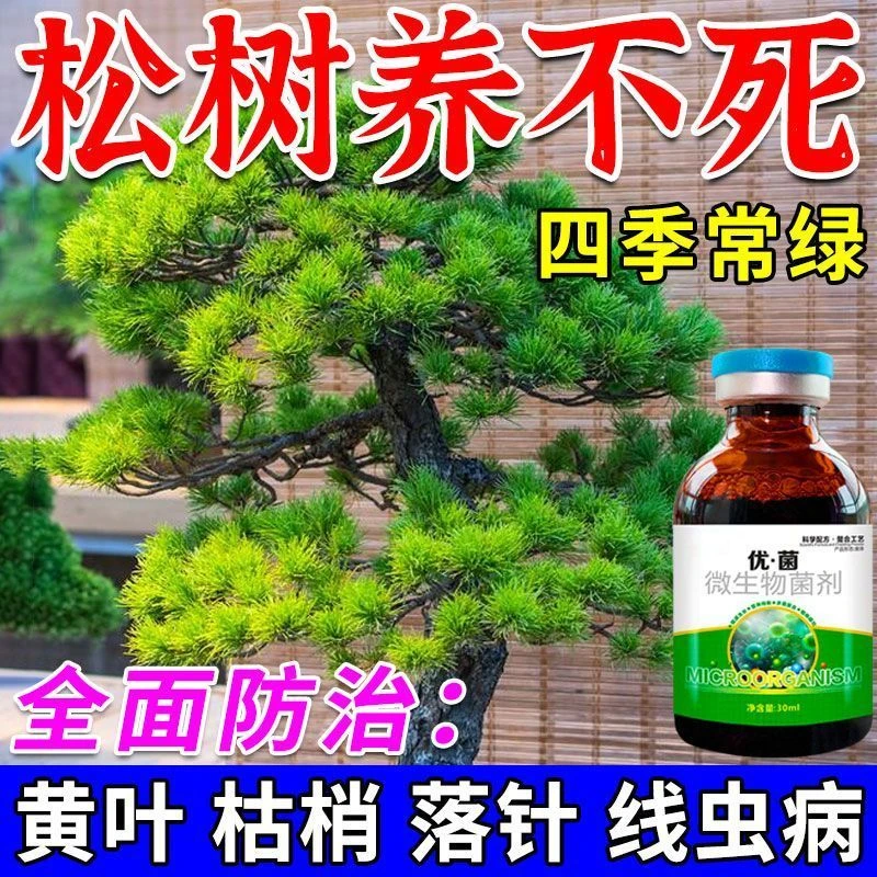 松树【一喷绿】赤枯病松树叶枯病专用肥松针发黄脱落叶斑病白粉病