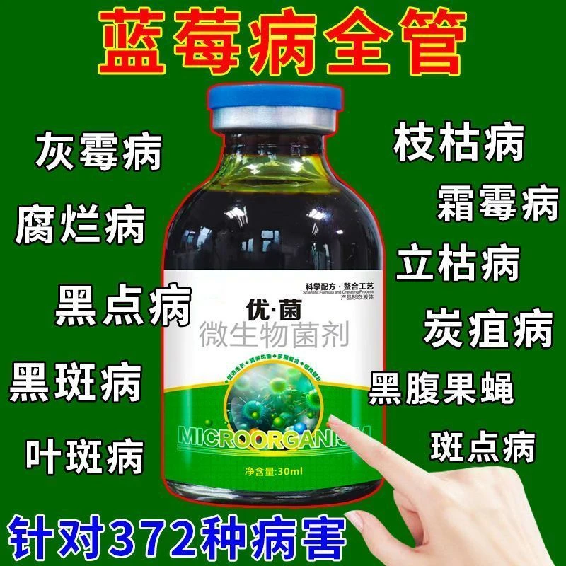 蓝莓专用药病全治蓝莓灰霉病枝枯病白粉病叶斑病僵果病干瘪剂