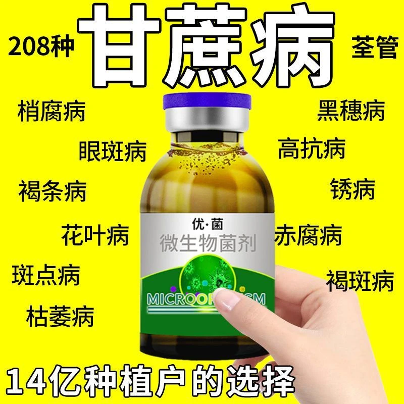 甘蔗病全治稍腐病专用剂甘蔗锈病叶斑病黑穗赤腐病黄叶黄化病