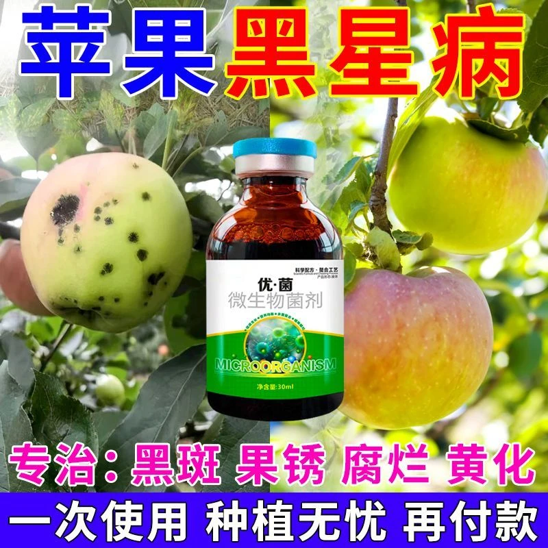 苹果树黑星病苹果专用剂炭疽轮纹褐斑枝枯苦豆白粉病腐烂病药