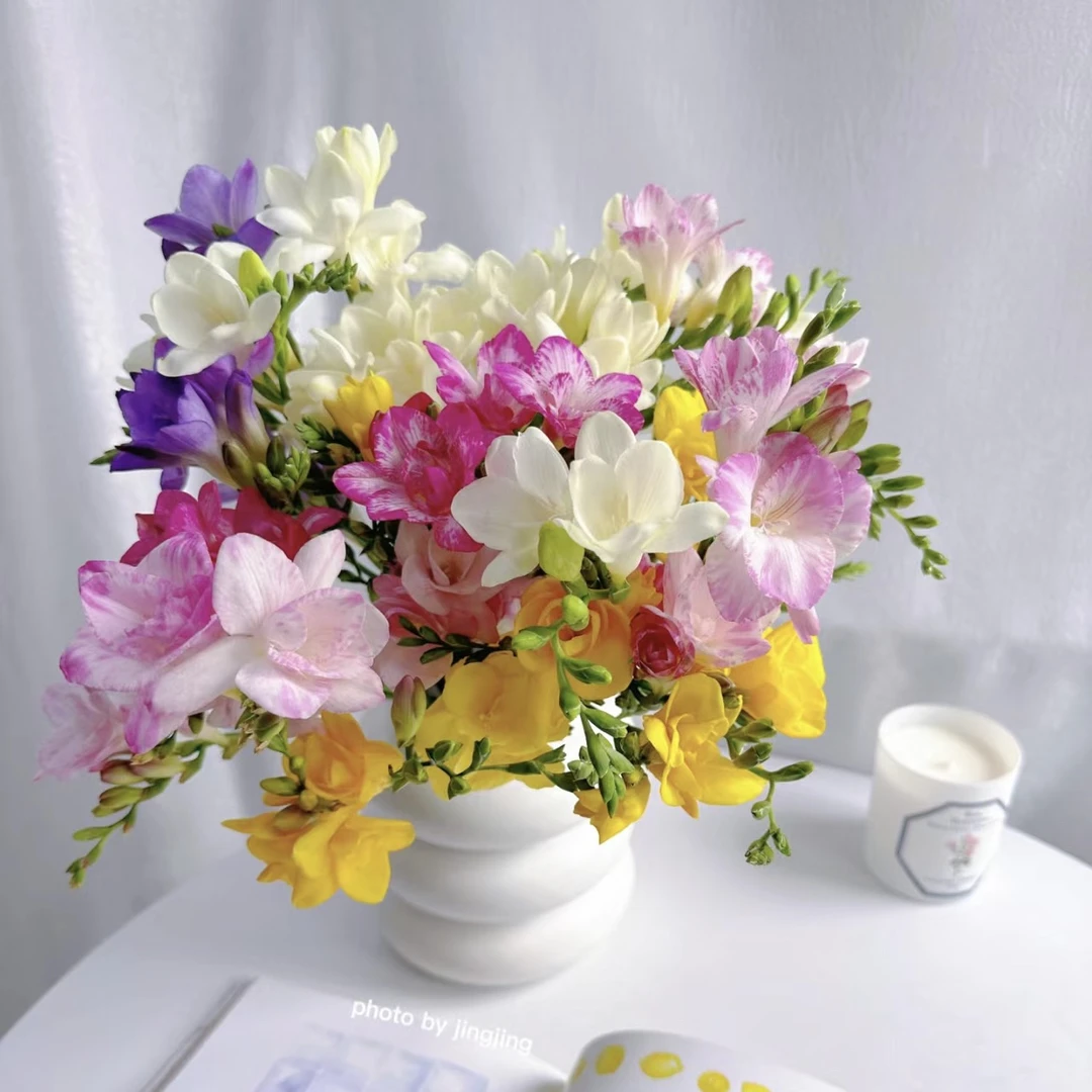 香雪兰（小苍兰）【任意4扎花一个运费】