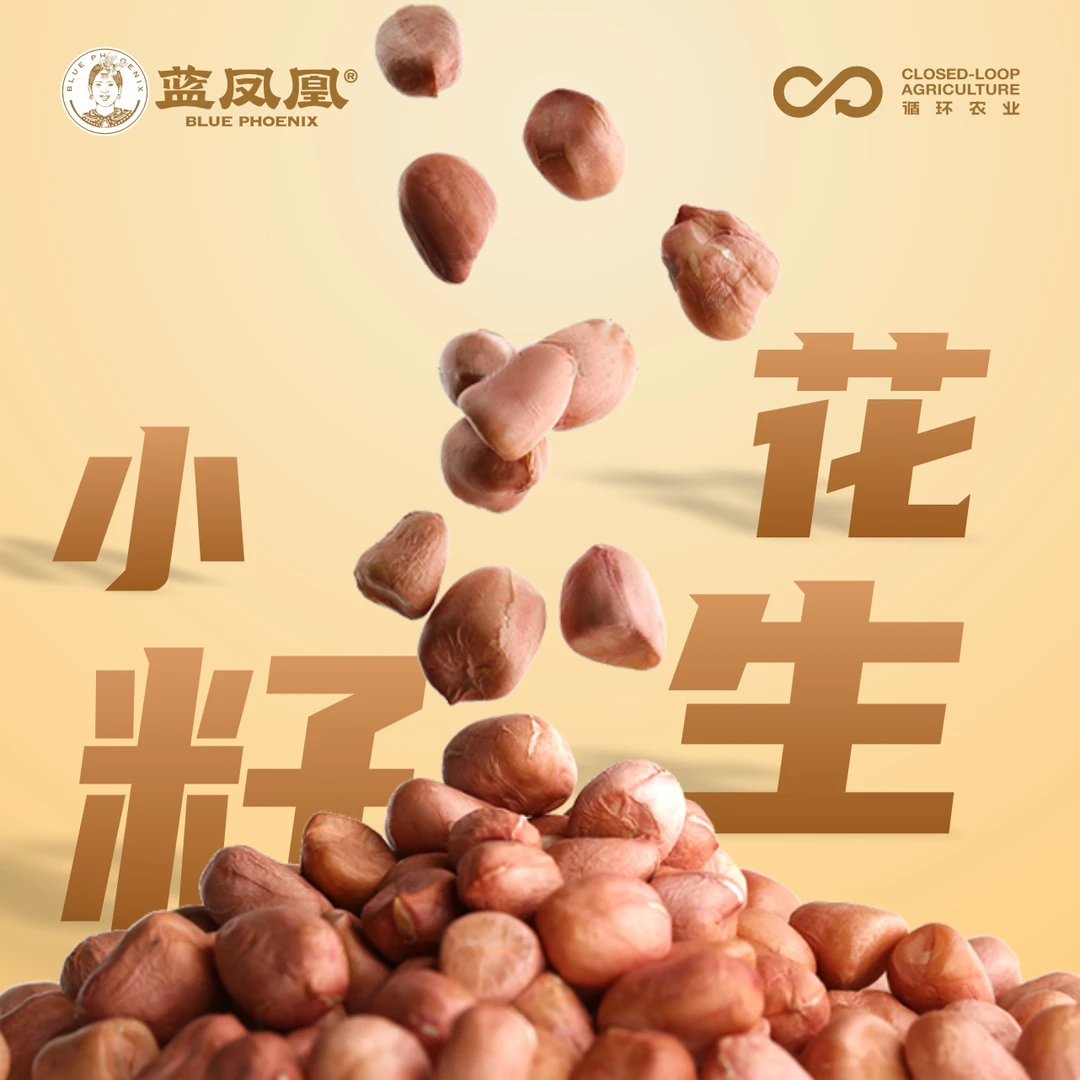 蓝凤凰传统小籽花生红皮花生营养坚果炒货新货花生米小粒花生