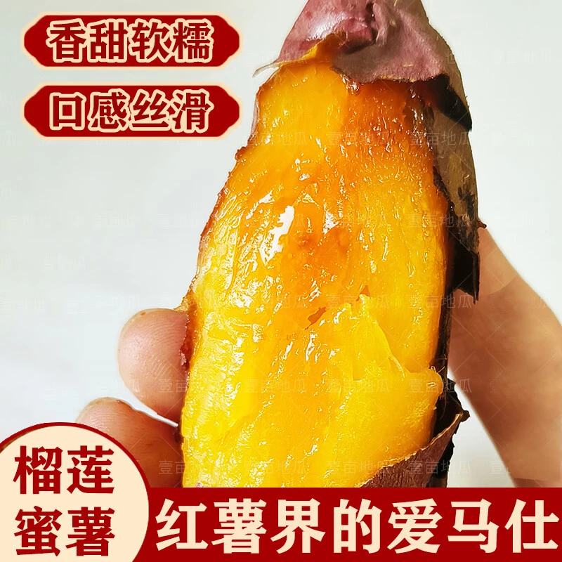 特级玛莎莉榴莲蜜薯5斤金瑶沙地红薯山芋板栗薯农家烤地瓜新鲜3斤