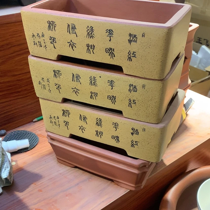 【闪购商品】紫砂20CM以下莫*