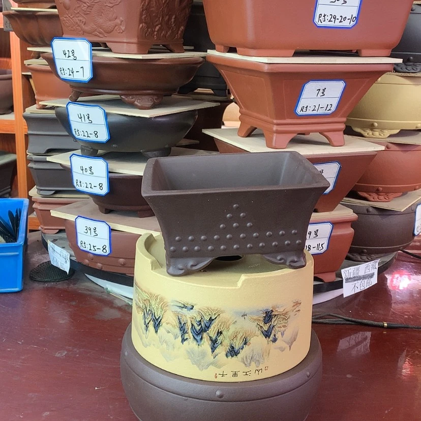 【闪购商品】紫砂20CM以下?****