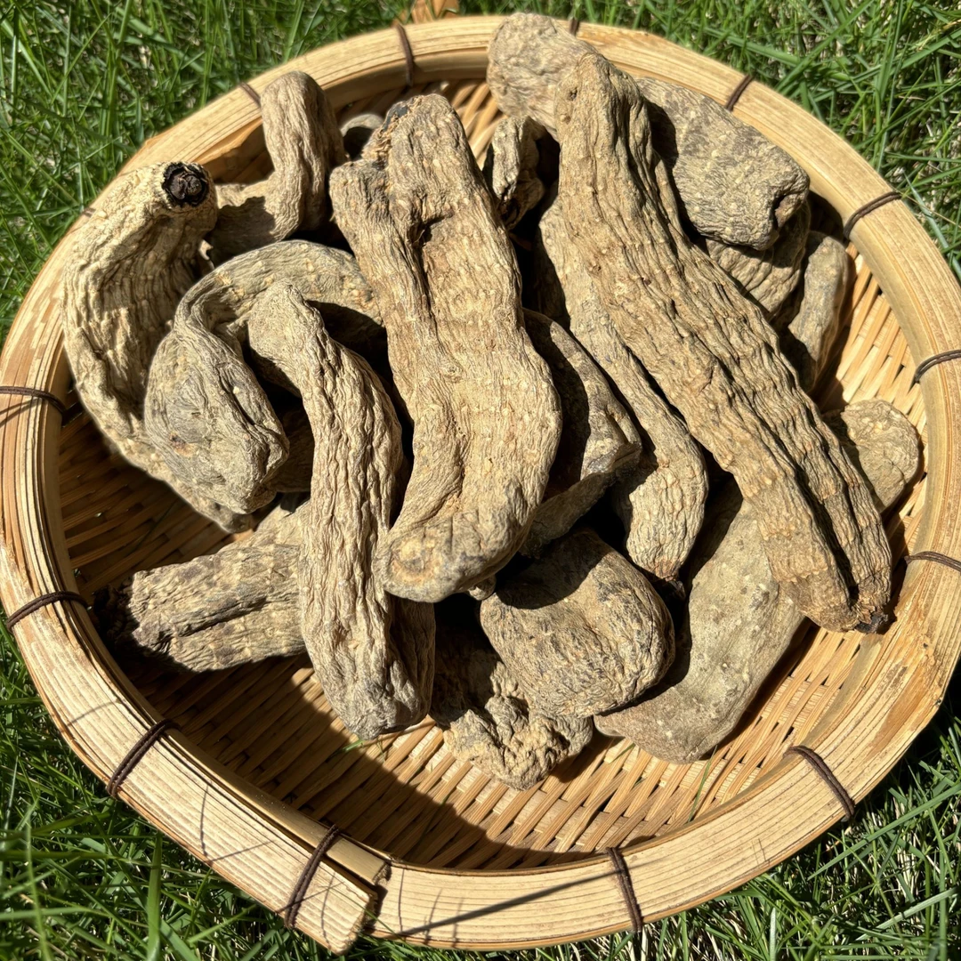 云南下山货大个【乌天嘛】 可搭配西洋参