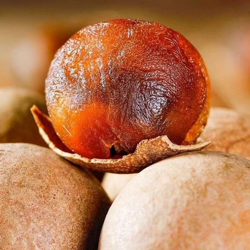 正宗福建特产带壳桂圆干龙眼干新鲜大果皮薄肉厚天然甄选煲汤饱满