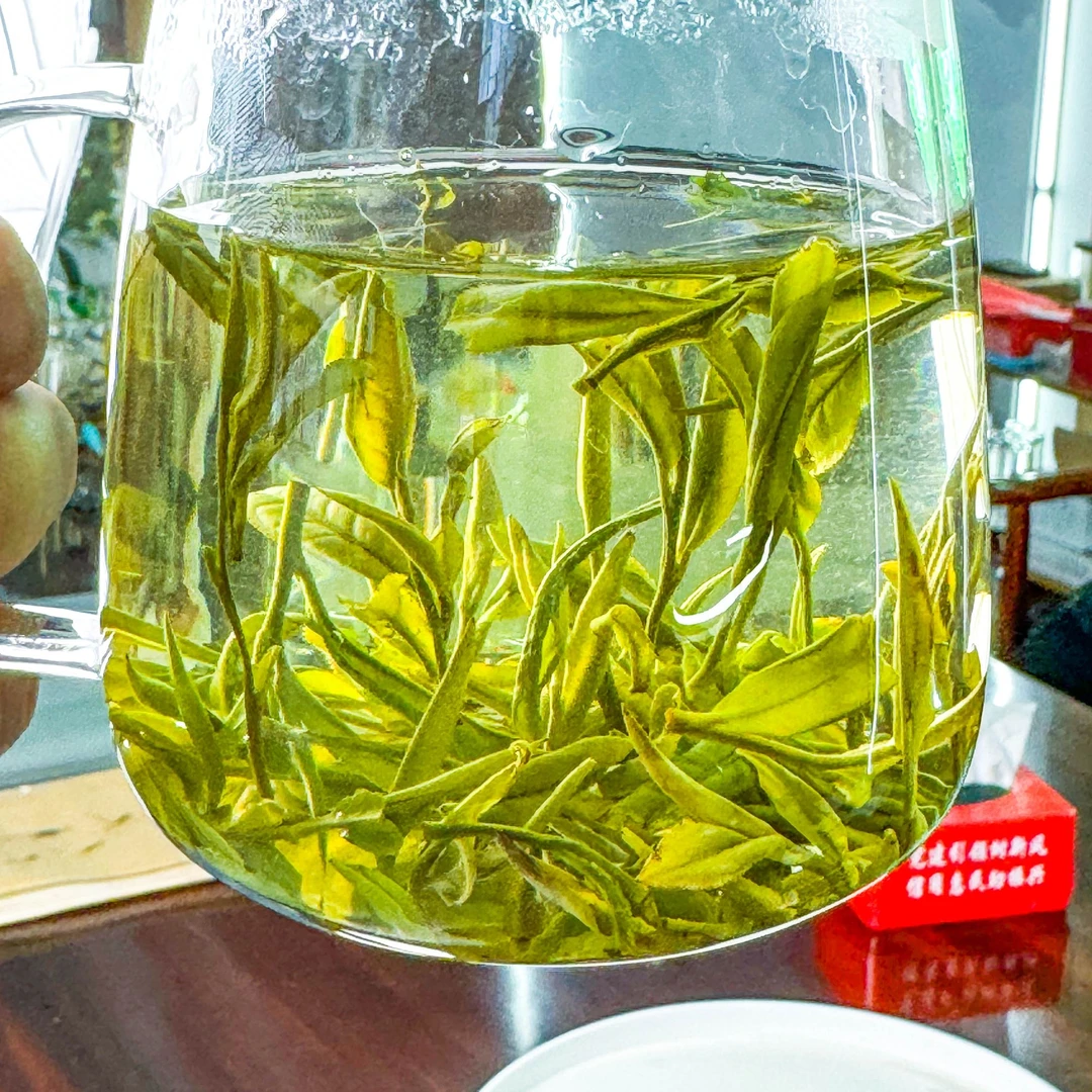 2025年新茶【HY150】金寨黄牙野生茶老火味道浓