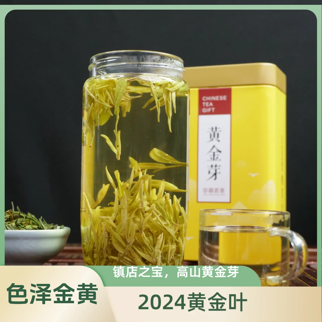 【新人试喝】2025年新茶黄金芽新茶高山黄金芽50g