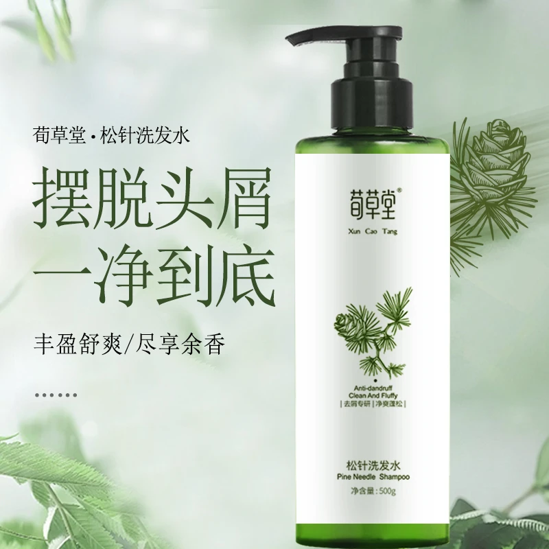 松针草本洗发水无硅油配方去屑 清洁