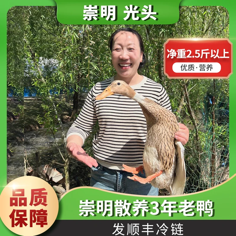 崇明散养老鸭 散养三年以上 老鸭 杀好 2.5斤