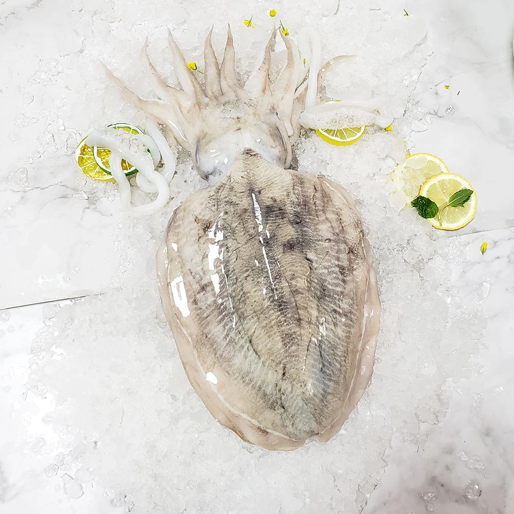 本地新鲜大墨鱼