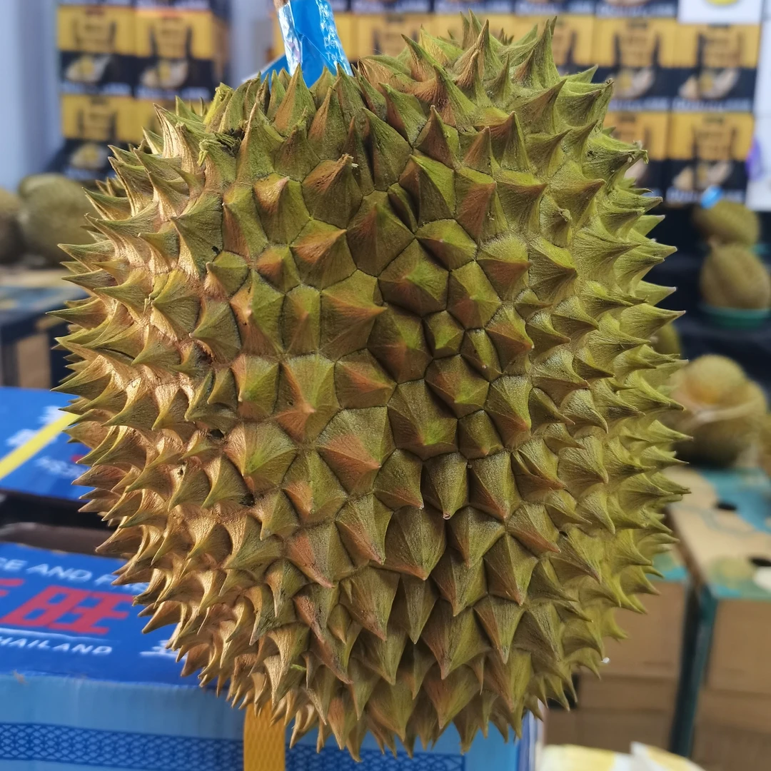 整果榴莲6.2斤左右(金枕榴莲)