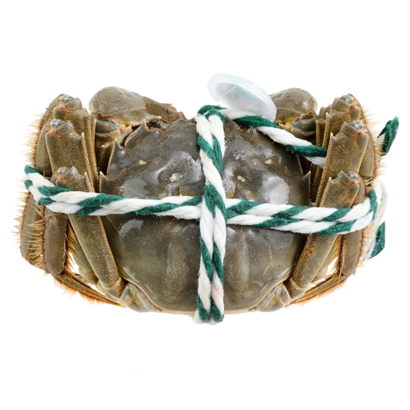 【1只】阳澄湖大闸蟹3两公蟹1只